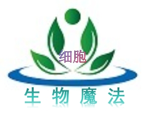RAW264.7 (小鼠单核巨噬细胞白血病细胞)