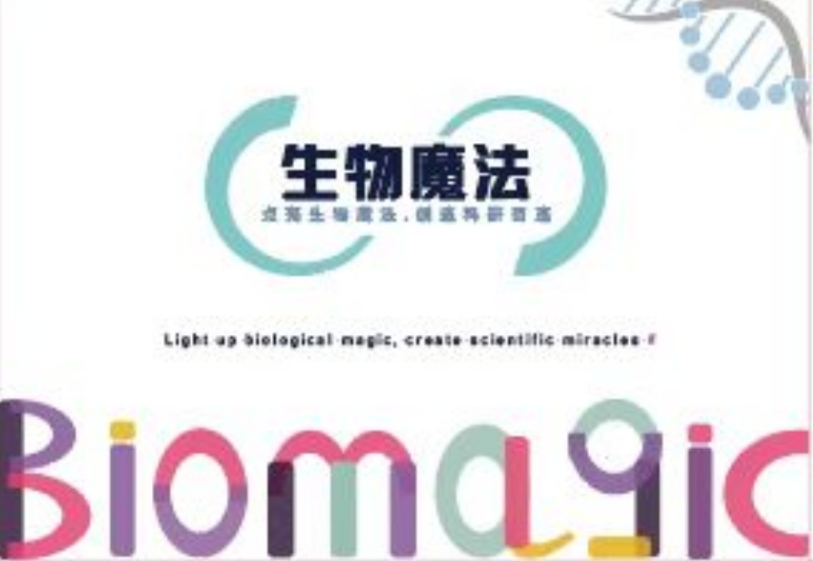 Tris/甘氨酸/SDS电泳缓冲液（10×）