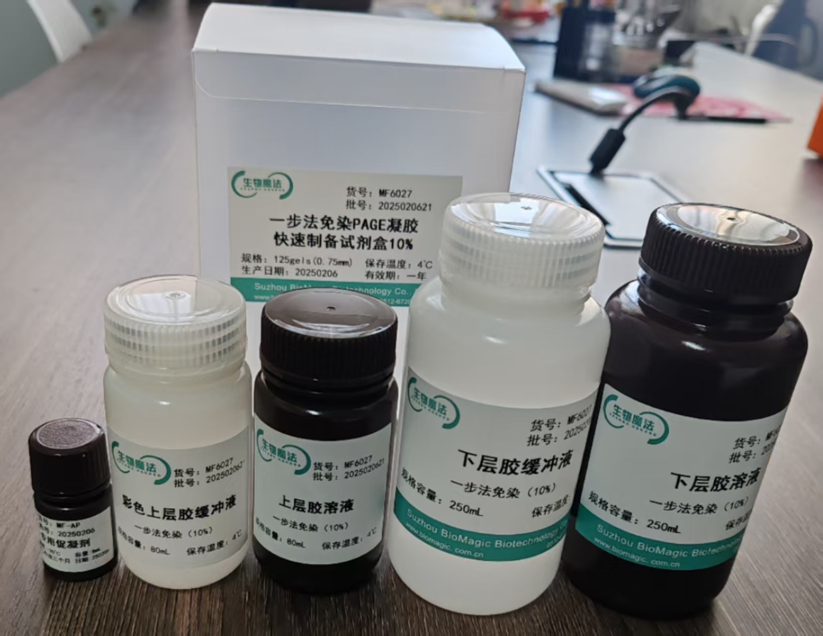 一步法免染PAGE凝胶快速制备试剂盒 10%